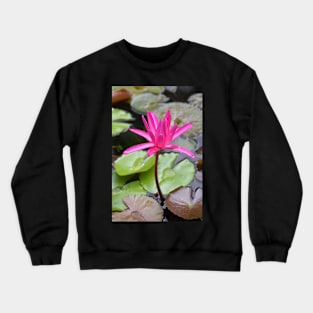 Water Lilies Crewneck Sweatshirt